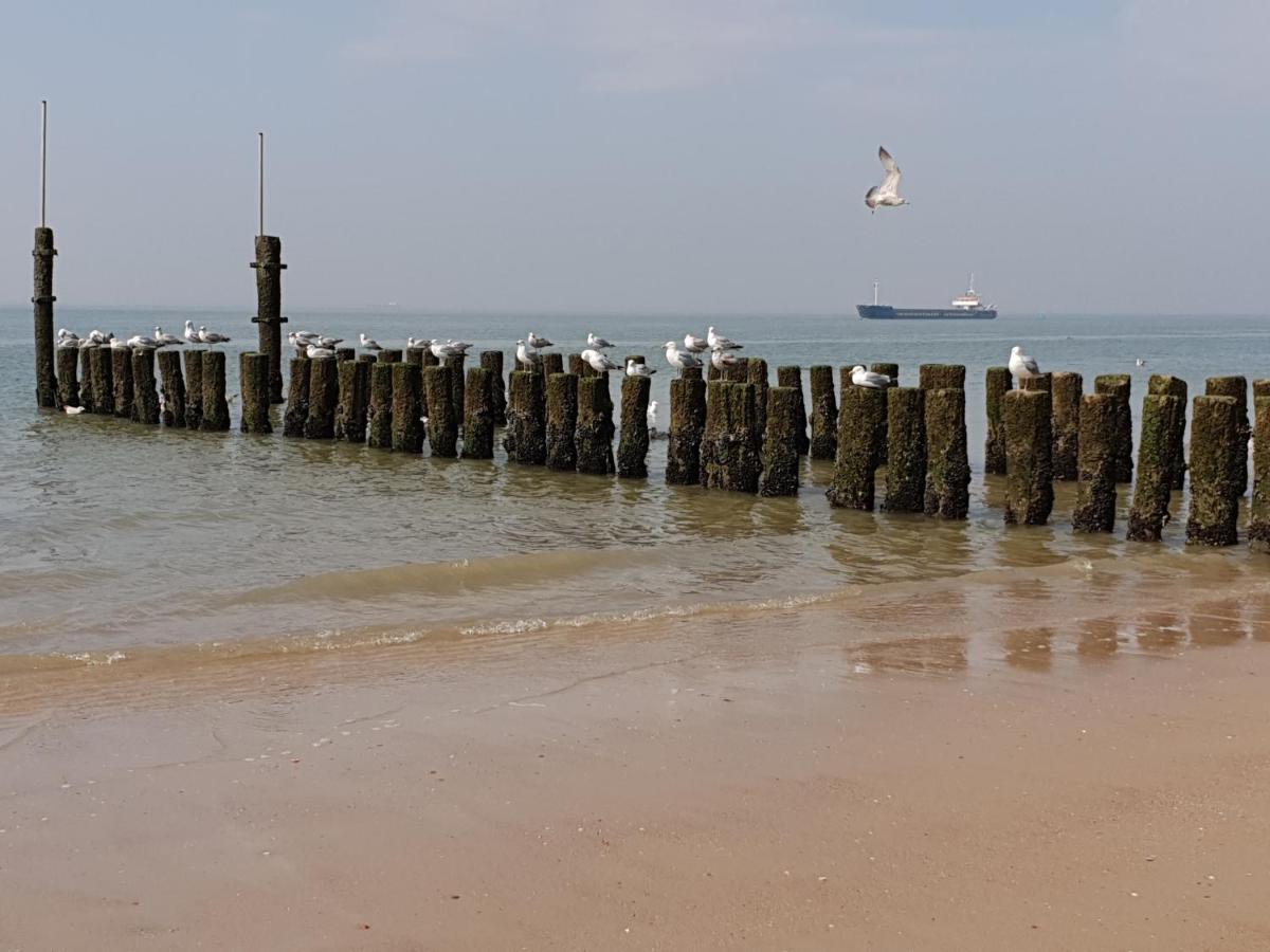 Bellamy, Direct Aan Zee En Centrum *